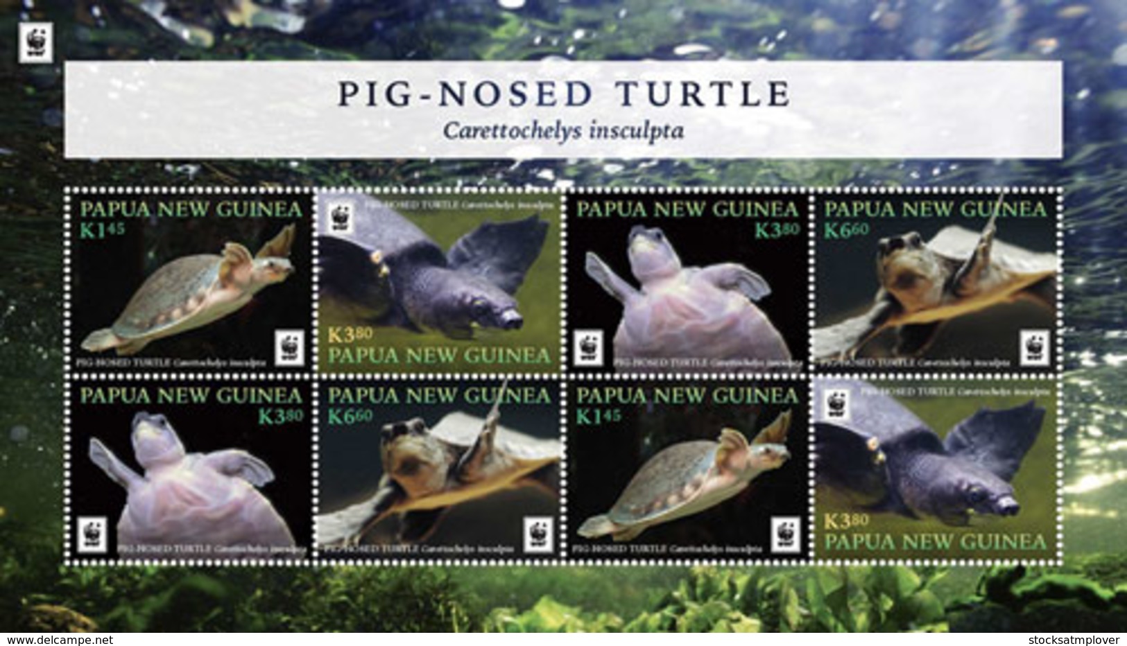 Papua New  Guinea 2016 WWF Pig Nosed Turtle - Other & Unclassified