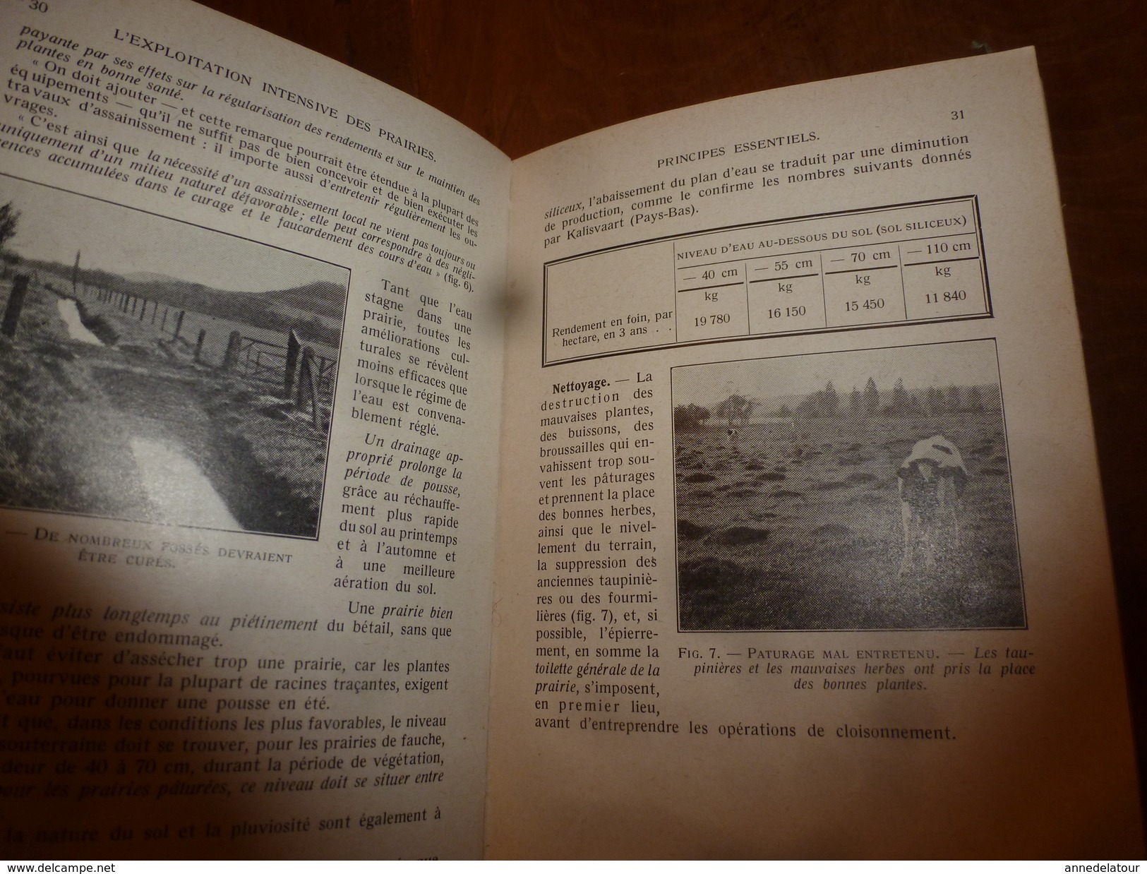 1954 Encyclopédie des connaissances agricoles (Exploitation intensive des prairies (herbages)