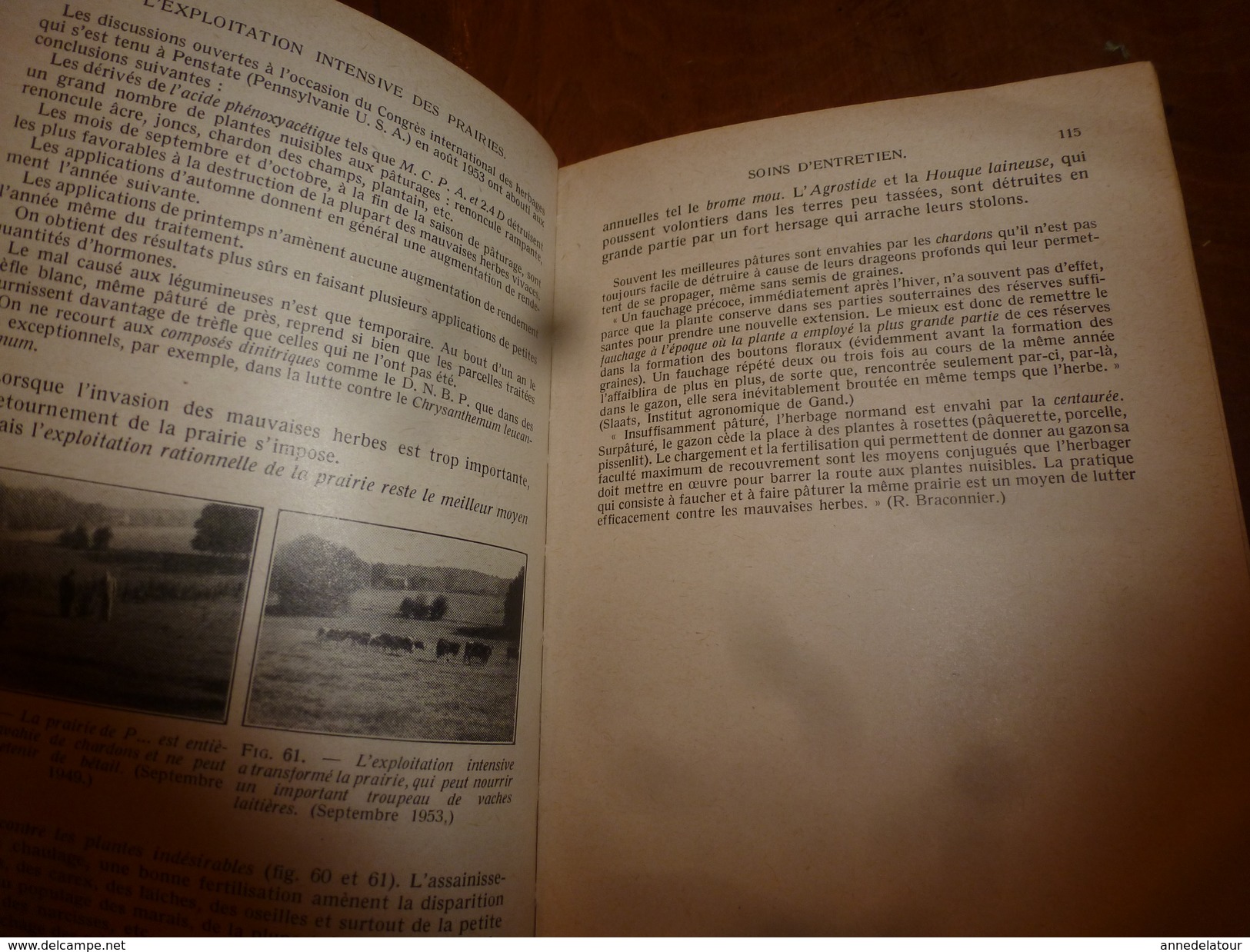 1954 Encyclopédie des connaissances agricoles (Exploitation intensive des prairies (herbages)