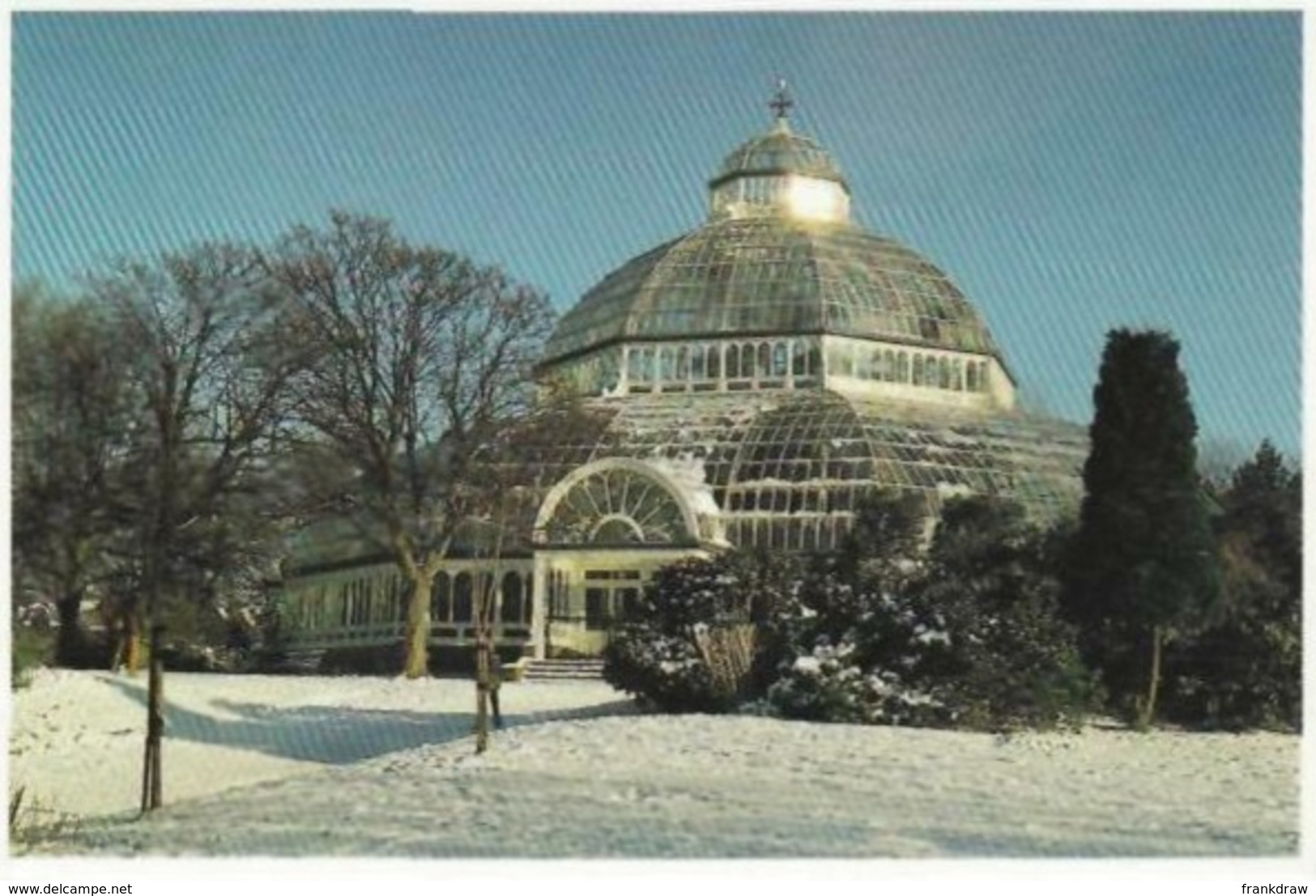 Postcard - The Palm House, Sefton Park - By Mike Keating - Very Good - Unclassified