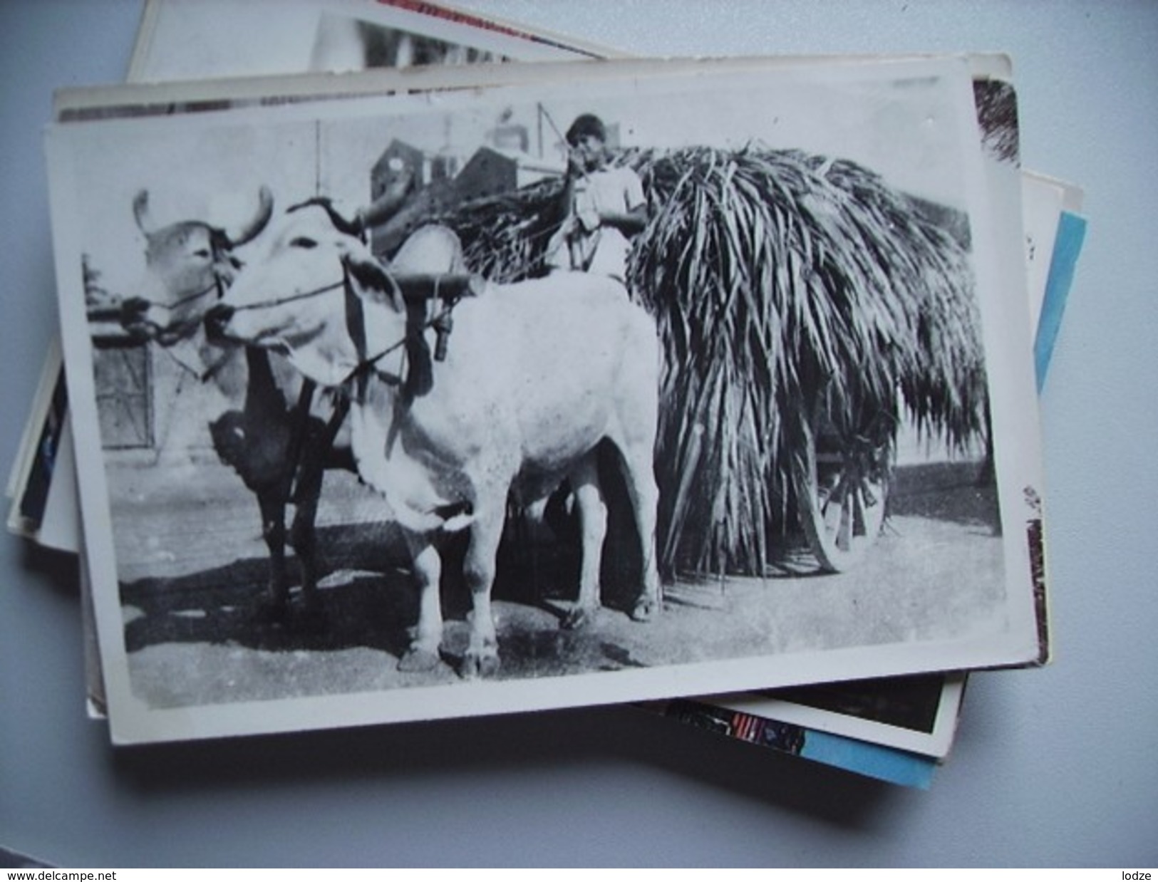 India Unknown Where ? Girl Transport - India