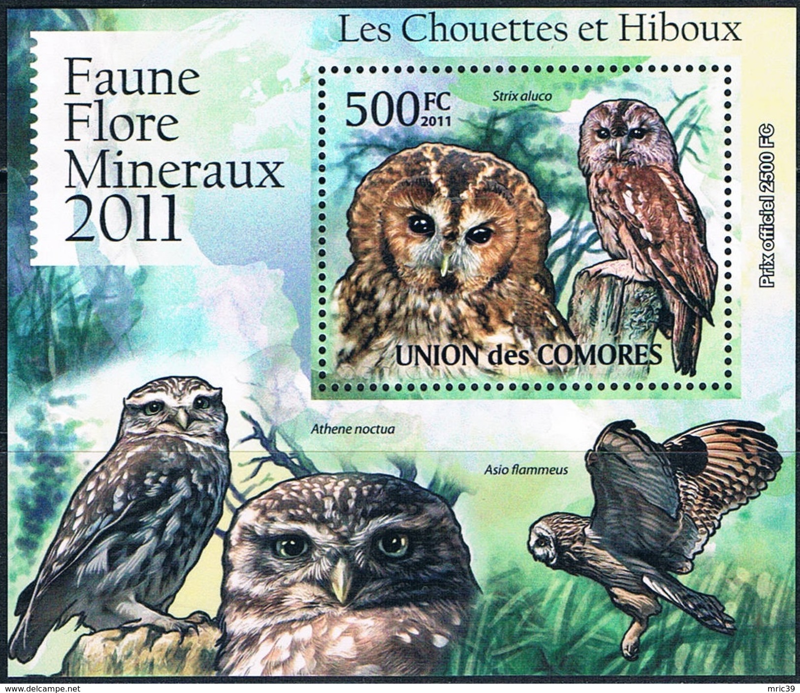 Bloc Sheet Oiseaux Hiboux Birds Owls Neufs MNH ** Comores  2011 - Eulenvögel