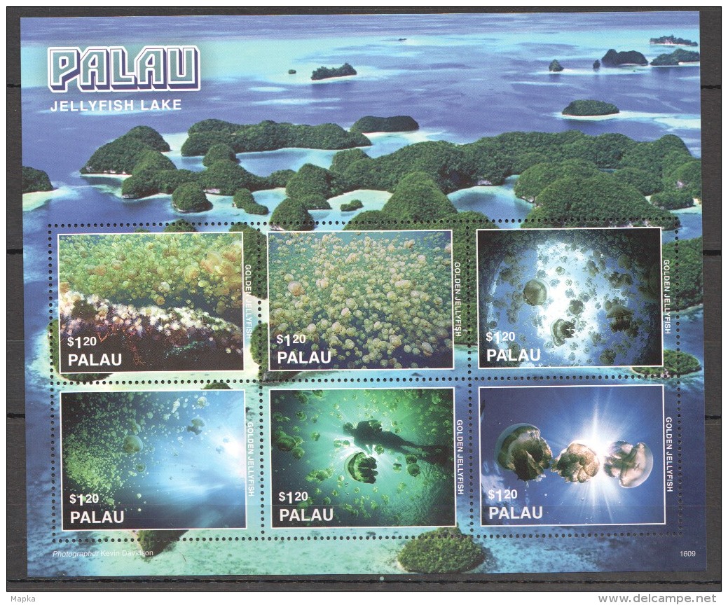 VV128 PALAU MARINE LIFE JELLYFISH LAKE 1KB MNH - Meereswelt