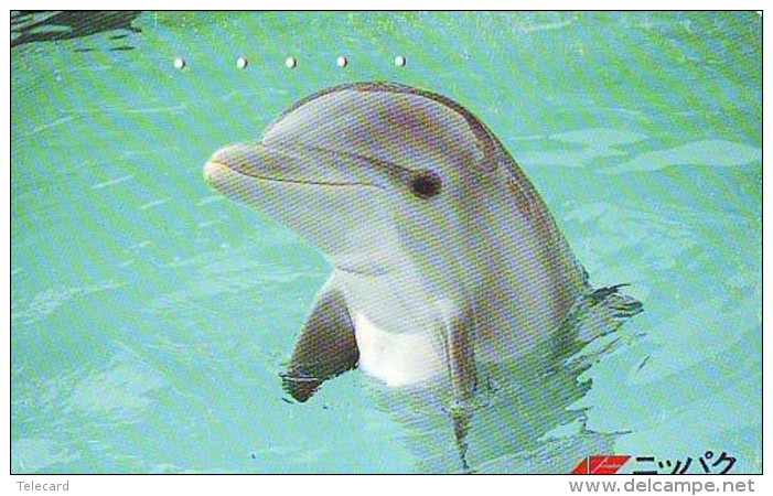 Télécarte Japon * DAUPHIN * DOLPHIN (798) Japan Phonecard * DELPHIN * GOLFINO * DOLFIJN * - Delfini