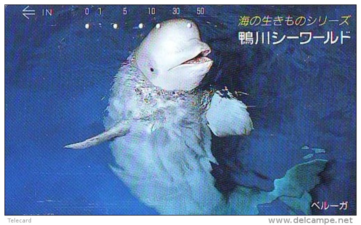 Télécarte Japon * DAUPHIN * DOLPHIN (801) Japan (110-108890 ) Phonecard * DELPHIN * GOLFINO * DOLFIJN * - Dolphins