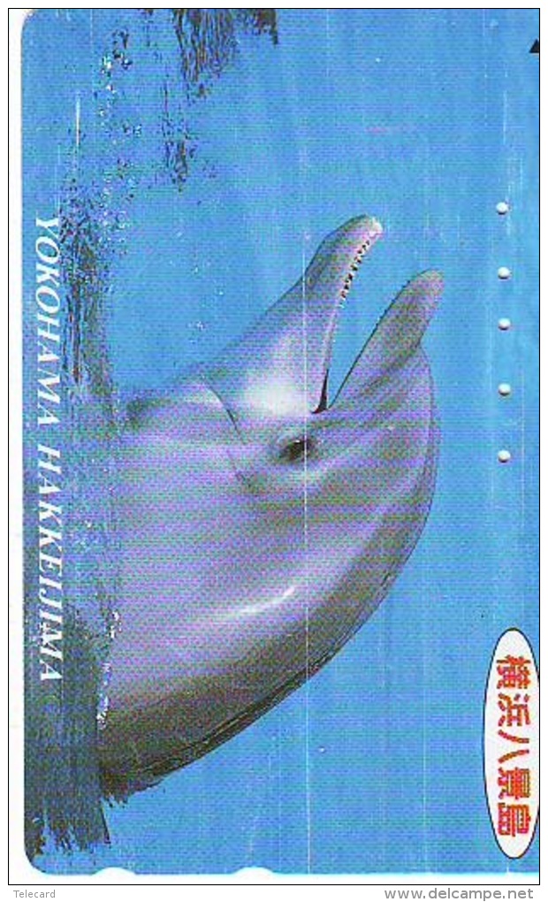 Télécarte Japon * DAUPHIN * DOLPHIN (806) Japan () Phonecard * DELPHIN * GOLFINO * DOLFIJN * - Dolfijnen