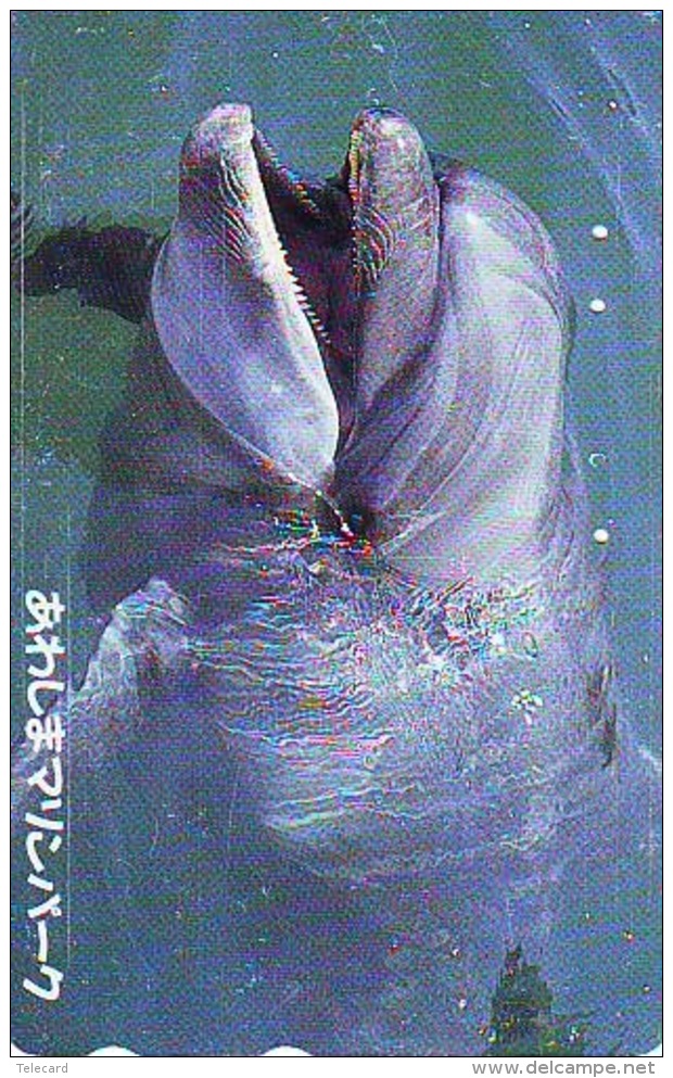 Télécarte Japon * DAUPHIN * DOLPHIN (808) Japan () Phonecard * DELPHIN * GOLFINO * DOLFIJN * - Dolphins