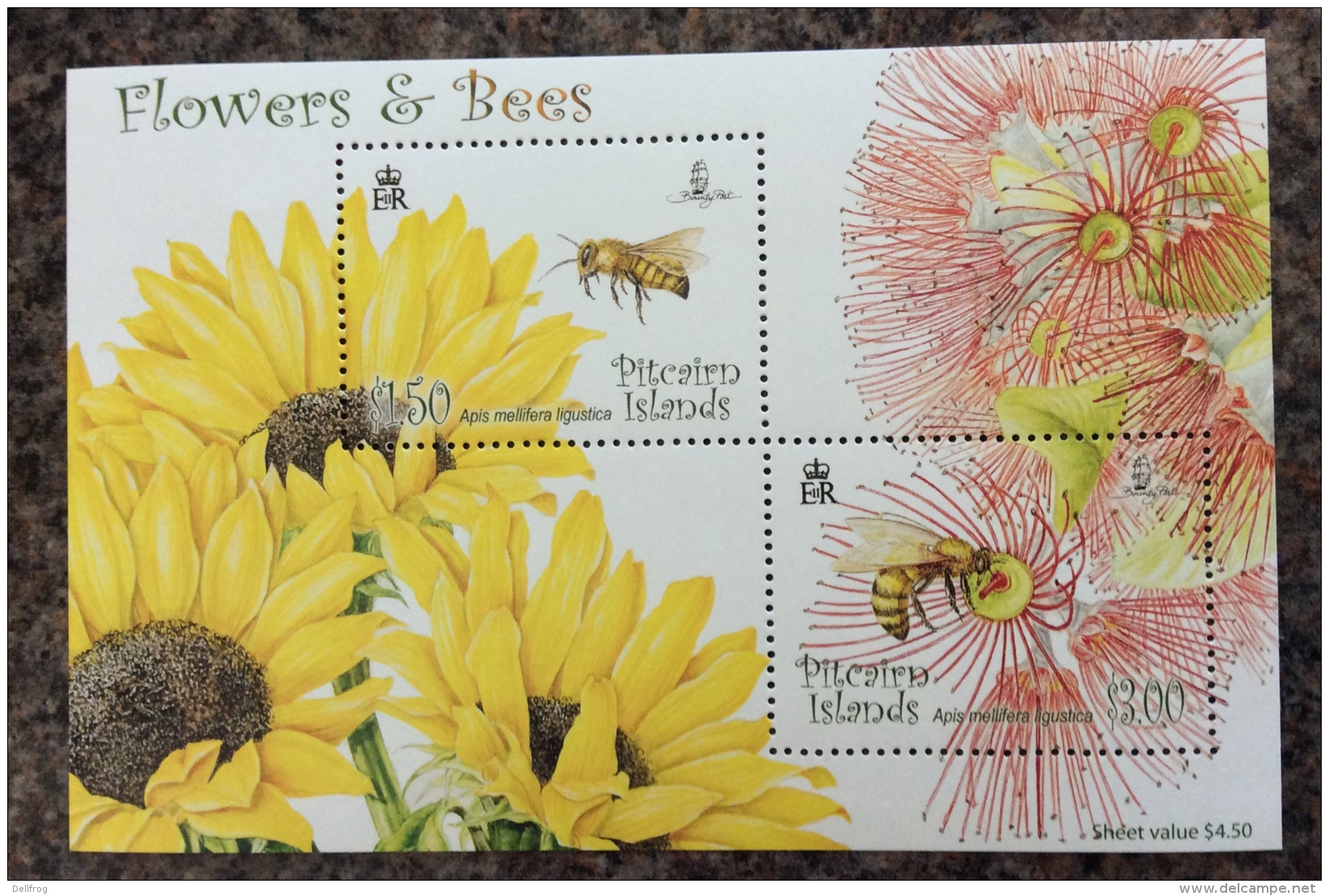 PITCAIRN ISLANDS 2008 FLOWERS AND BEES SET AND SHEET MNH - Sonstige & Ohne Zuordnung