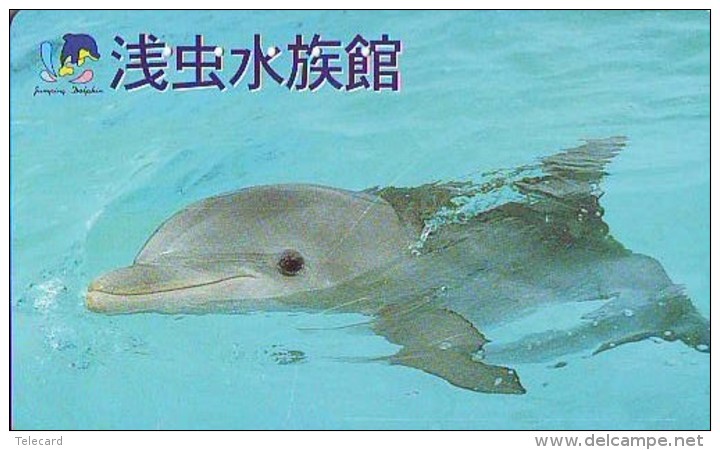 Télécarte Japon * DAUPHIN * DOLPHIN (816) Japan () Phonecard * DELPHIN * GOLFINO * DOLFIJN * - Dolfijnen