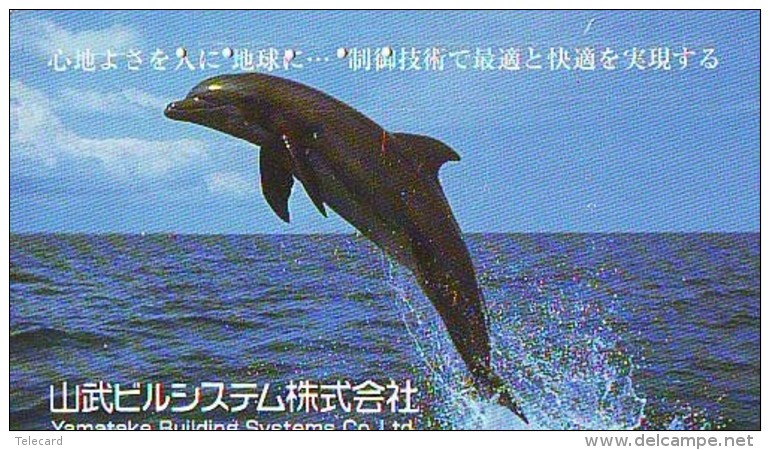 Télécarte Japon * DAUPHIN * DOLPHIN (819) Japan () Phonecard * DELPHIN * GOLFINO * DOLFIJN * - Dolphins