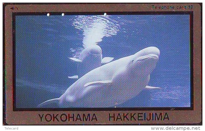 Télécarte Japon * DAUPHIN * DOLPHIN (825) Japan () Phonecard * DELPHIN * GOLFINO * DOLFIJN * - Dauphins