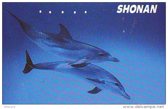 Télécarte Japon * DAUPHIN * DOLPHIN (831) Japan () Phonecard * DELPHIN * GOLFINO * DOLFIJN * - Dolfijnen