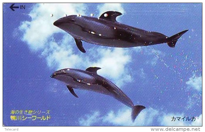 Télécarte Japon * DAUPHIN * DOLPHIN (834) Japan () Phonecard * DELPHIN * GOLFINO * DOLFIJN * - Dauphins