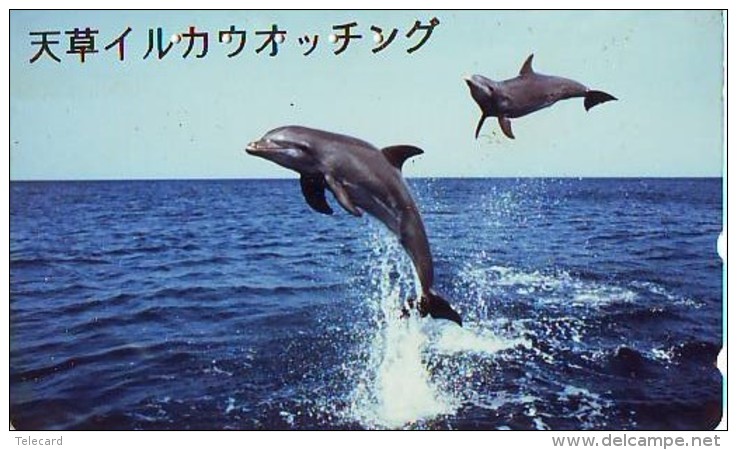 Télécarte Japon * DAUPHIN * DOLPHIN (838) Japan () Phonecard * DELPHIN * GOLFINO * DOLFIJN * - Delfini