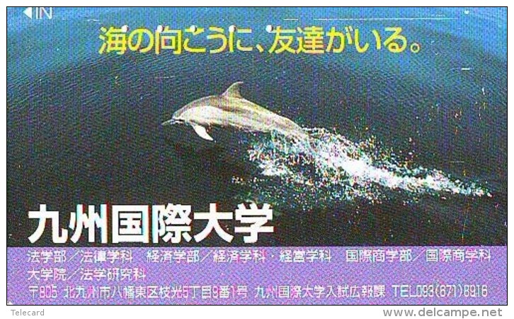 Télécarte Japon * DAUPHIN * DOLPHIN (853) Japan () Phonecard * DELPHIN * GOLFINO * DOLFIJN * - Dolfijnen