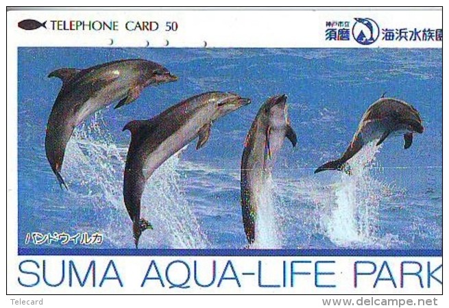 Télécarte Japon * DAUPHIN * DOLPHIN (860) Japan () Phonecard * DELPHIN * GOLFINO * DOLFIJN * - Delfines