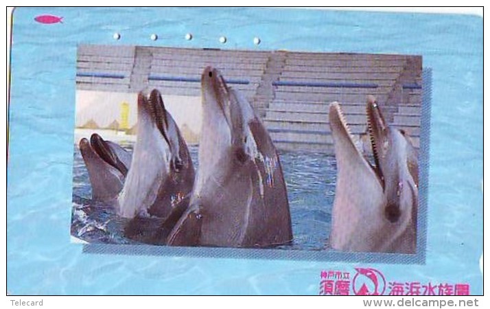 Télécarte Japon * DAUPHIN * DOLPHIN (867) Japan () Phonecard * DELPHIN * GOLFINO * DOLFIJN * - Dauphins