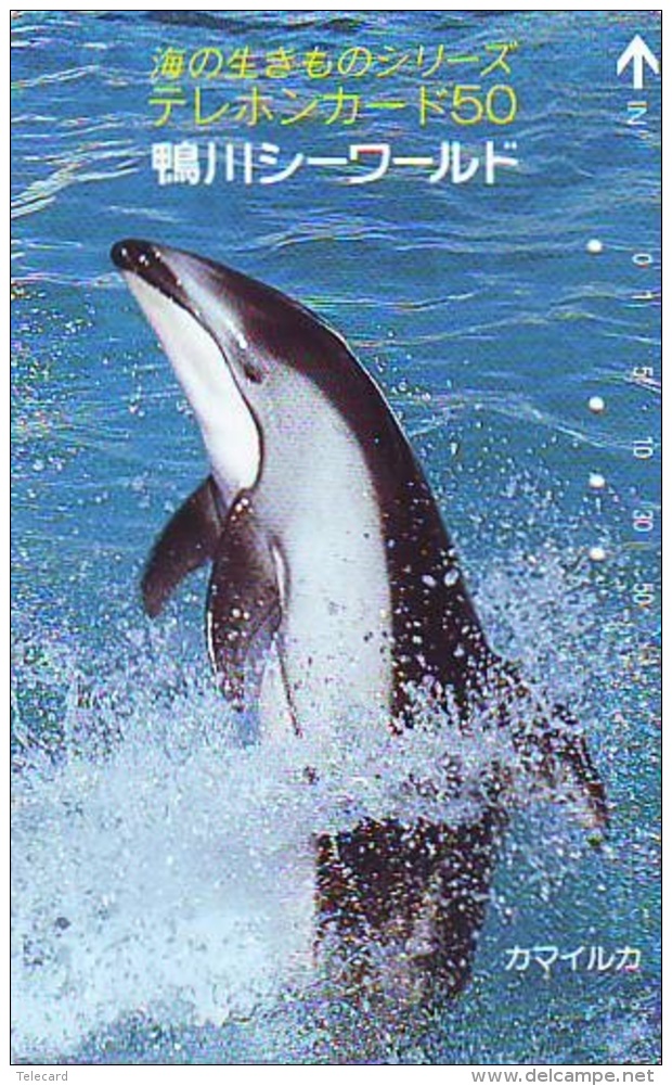 Télécarte Japon * DAUPHIN * DOLPHIN (874) Japan () Phonecard * DELPHIN * GOLFINO * DOLFIJN * - Delfines