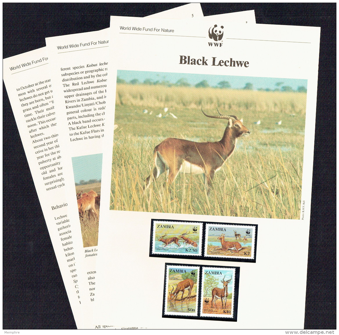 1987  ZAMBIA Black Lechwe - Antelope -    MNH Set Of 4 On WWF Illustrated Descriptive WWF Sheets - Zambia (1965-...)