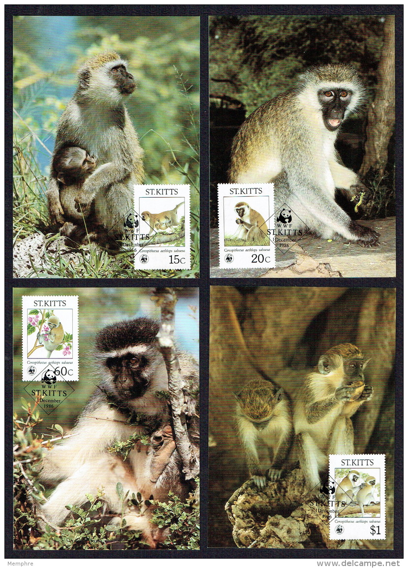 1986  ST KITTS - Green Monkey     Set Of 4 On WWF Maximum Cards - St.Kitts Und Nevis ( 1983-...)