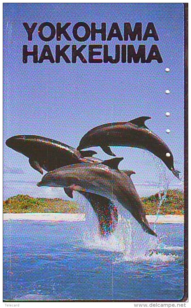 Télécarte Japon * DAUPHIN * DOLPHIN (905) Japan () Phonecard * DELPHIN * GOLFINO * DOLFIJN * - Dauphins