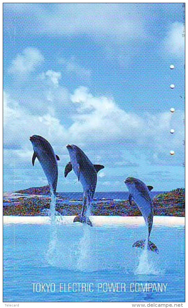 Télécarte Japon * DAUPHIN * DOLPHIN (907) Japan () Phonecard * DELPHIN * GOLFINO * DOLFIJN * - Delfines