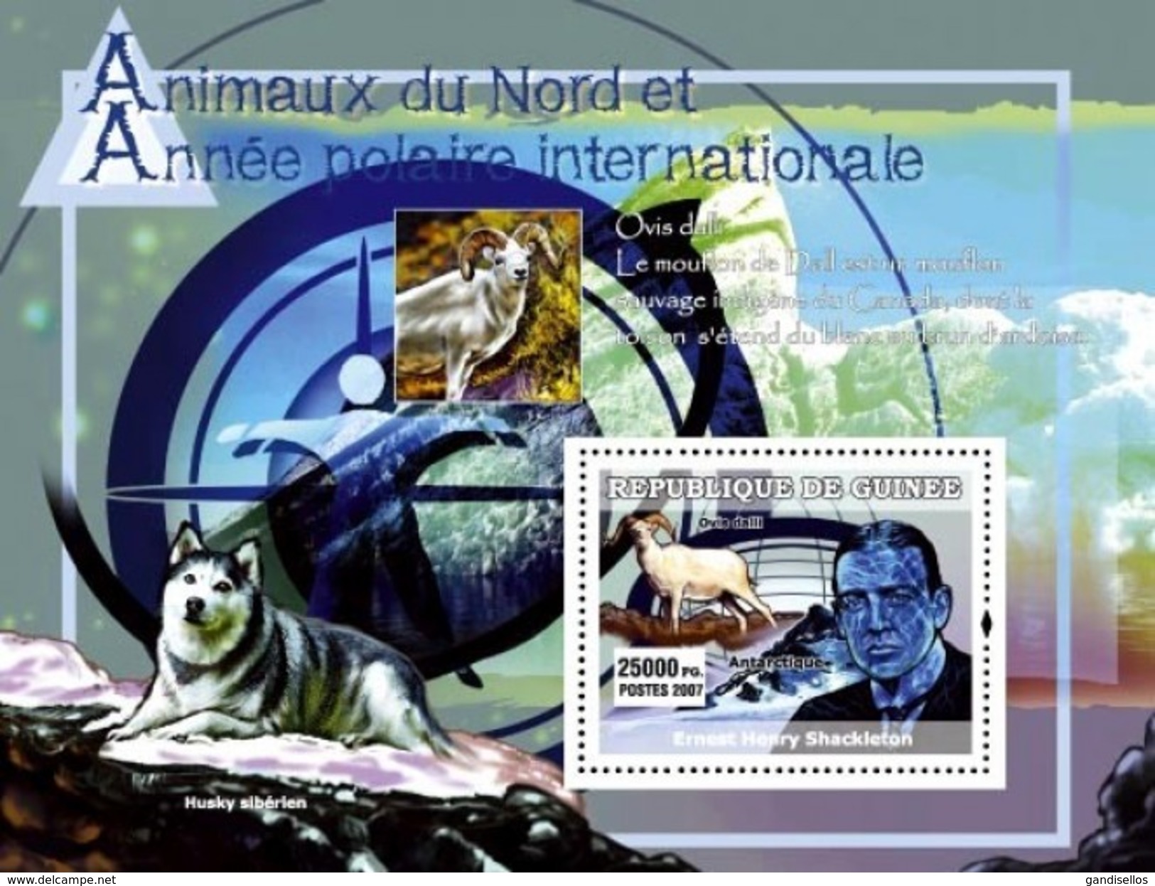 GUINEA 2007 SHEET NORTHERN ANIMALS AND INTERNATIONAL POLAR YEAR WILDLIFE GOATS DOGS CHIENS HUNDE SHACKLETON Gu0739a - Guinea (1958-...)