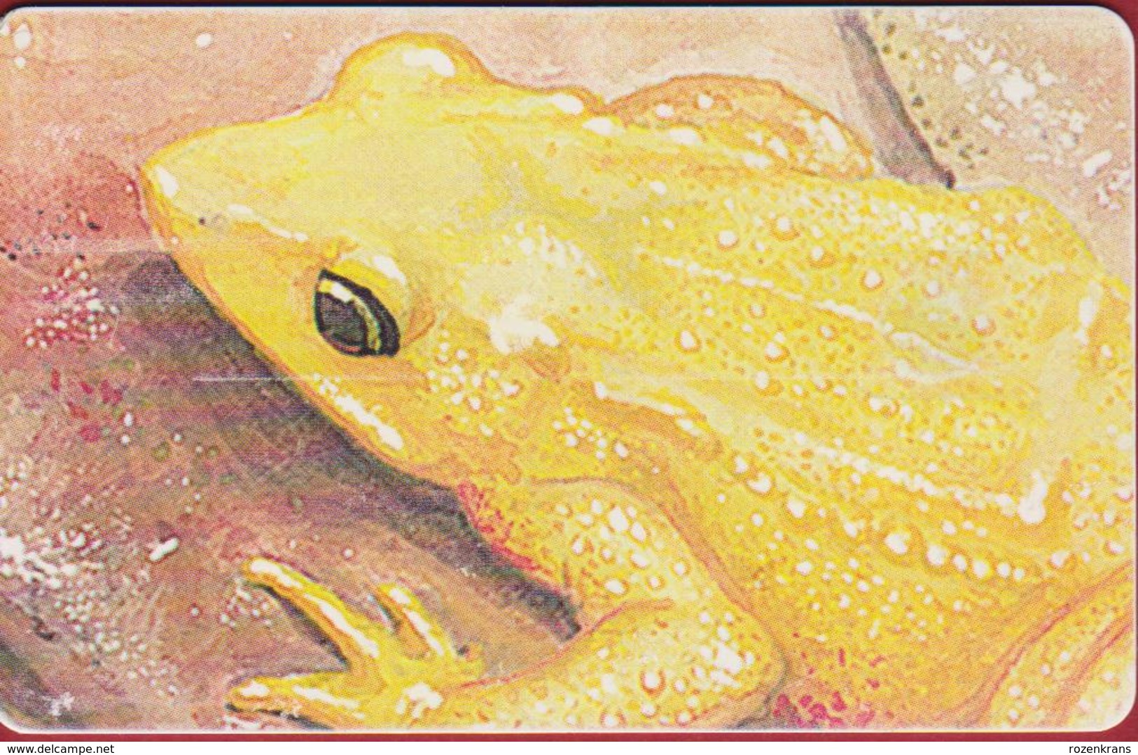 Venezuela Sapito Amarillo Kikker Grenouille Rana Frog Telefoonkaart Telecarte PHONECARD Tarjeta Telecard TELEFONKARTE - Oerwoud