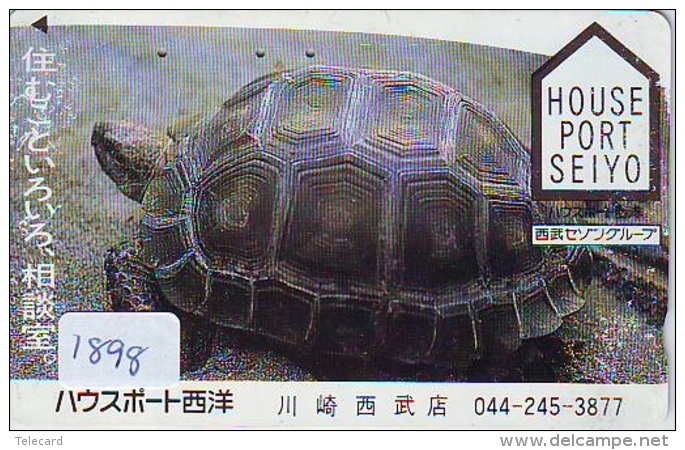 Télécarte Japon * TURTLE * TORTUE  (1898)  PHONECARD JAPAN * * TELEFONKARTE * SCHILDKRÖTE - Turtles