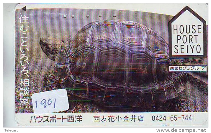 Télécarte Japon * TURTLE * TORTUE  (1901)  PHONECARD JAPAN * * TELEFONKARTE * SCHILDKRÖTE - Turtles