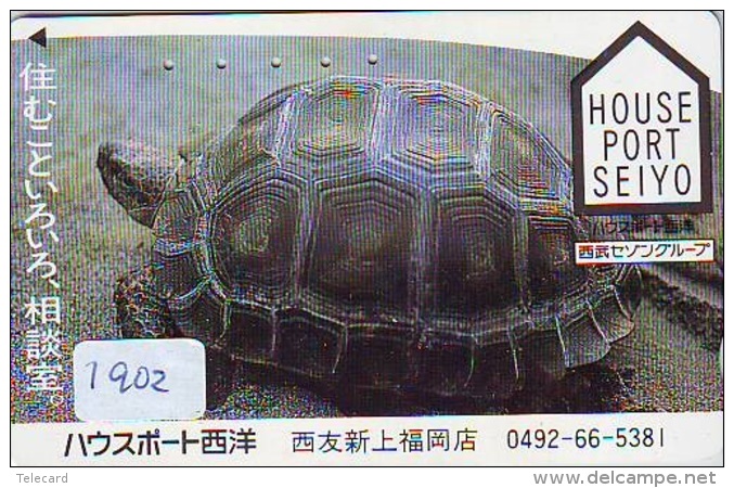 Télécarte Japon * TURTLE * TORTUE  (1902)  PHONECARD JAPAN * * TELEFONKARTE * SCHILDKRÖTE - Turtles