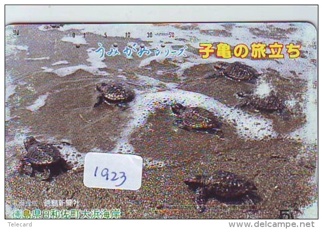 Télécarte Japon * TURTLE  (1923) PHONECARD JAPAN * 330-12843 * TORTUE *   TELEFONKARTE * SCHILDKRÖTE - Turtles