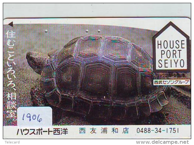 Télécarte Japon * TURTLE *  (1906) PHONECARD JAPAN * * TORTUE *   TELEFONKARTE * SCHILDKRÖTE - Schildpadden