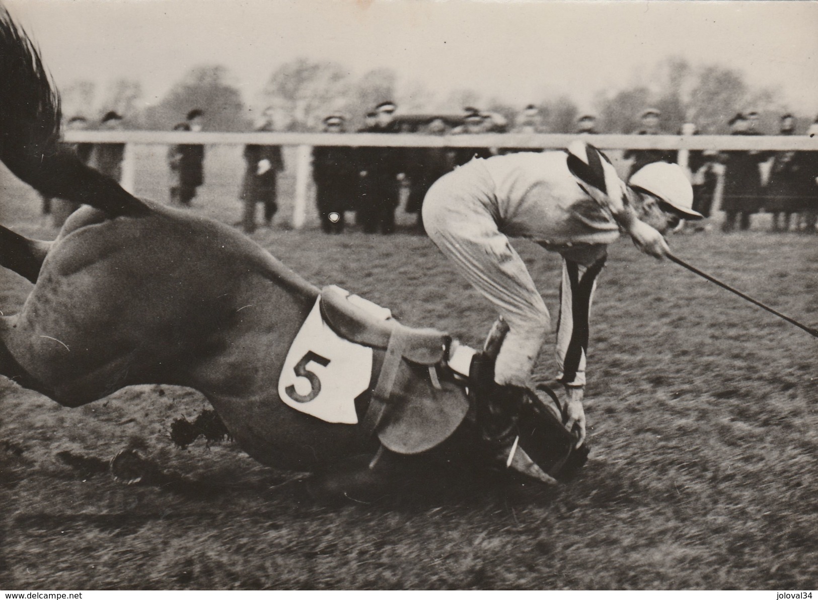 Hippisme Photo France Presse 14/1/1947 Courses à WINDSOR Chute Jockey Marshall Cheval Boccassio Propriétaire Miss Dunne - Ruitersport