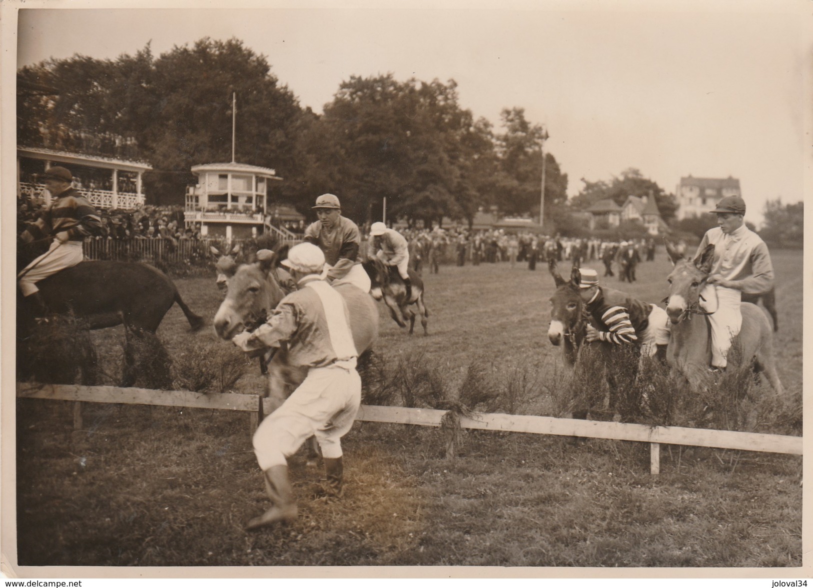 Hippisme Photo New York Times 15/6/1939 Journée Des Artistes Au Tremblay - Haies Bourricots Humour - Ruitersport