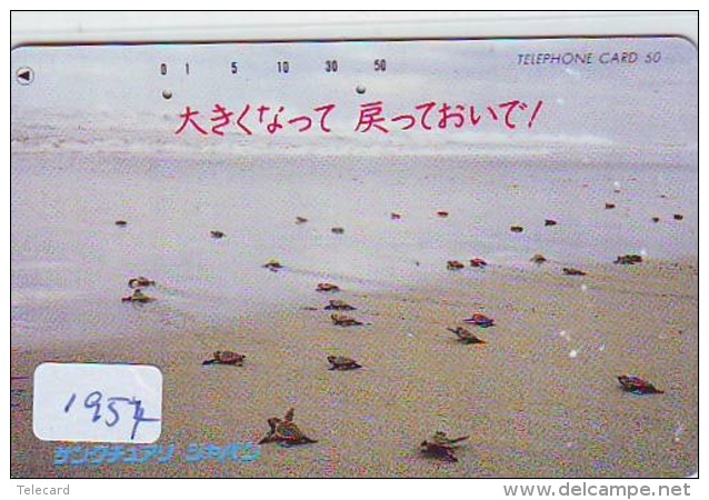 Télécarte Japon * TURTLE *  (1957) PHONECARD JAPAN * * TORTUE *   TELEFONKARTE * SCHILDKRÖTE - Turtles