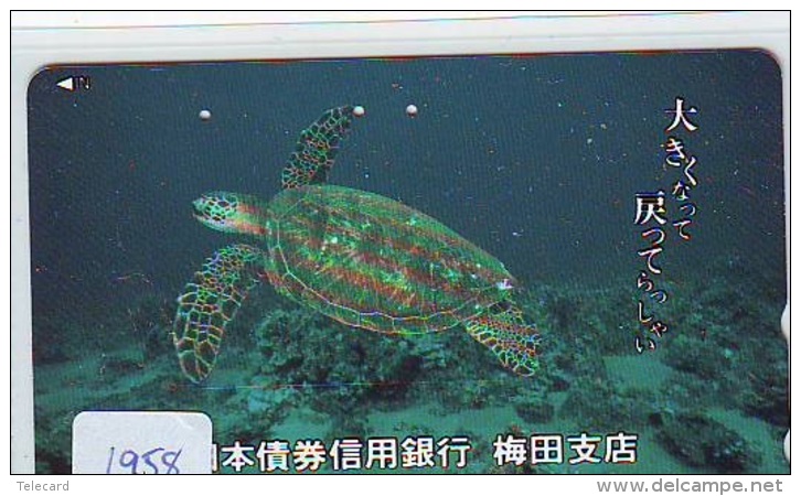 Télécarte Japon * TURTLE *  (1958) PHONECARD JAPAN * * TORTUE *   TELEFONKARTE * SCHILDKRÖTE - Schildpadden