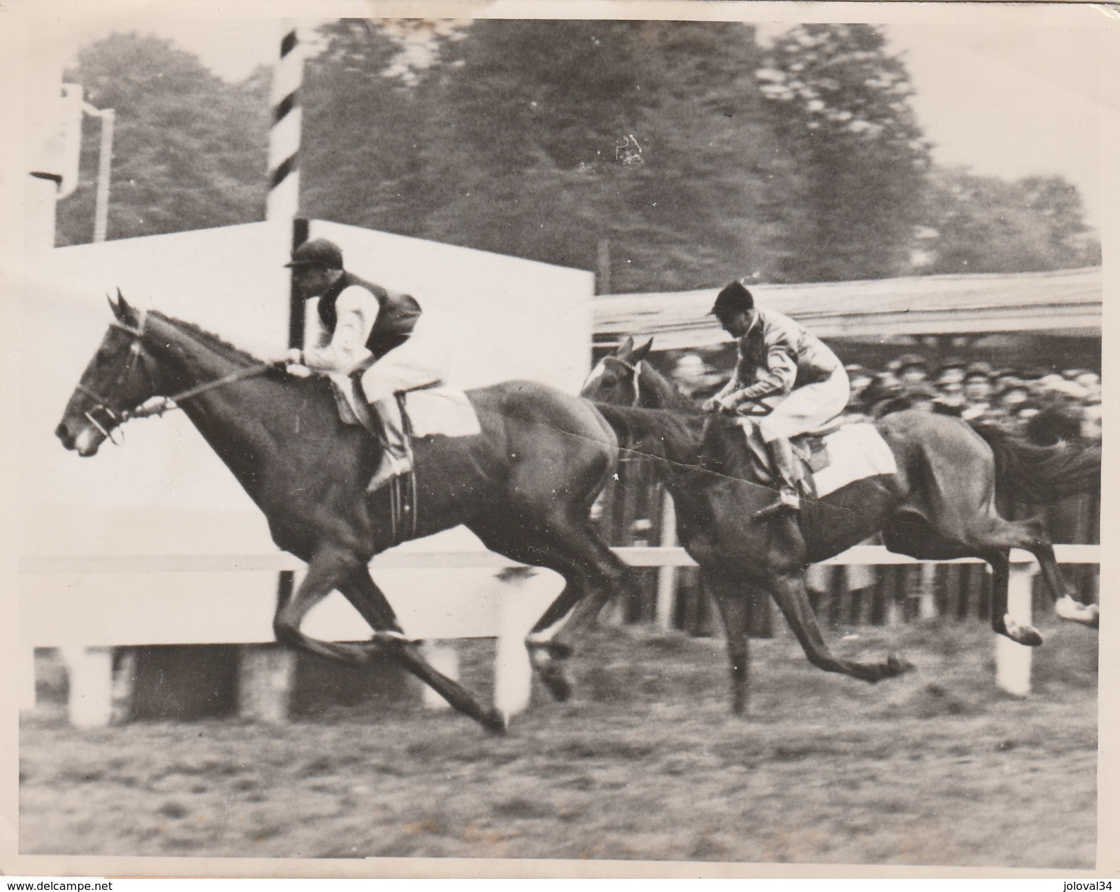 Hippisme Photo New York Times 16/5/1938 Grand Prix De BRUXELLES Cheval Antonyn Jockey Tucker Pro Holdert - PLI - Reiten