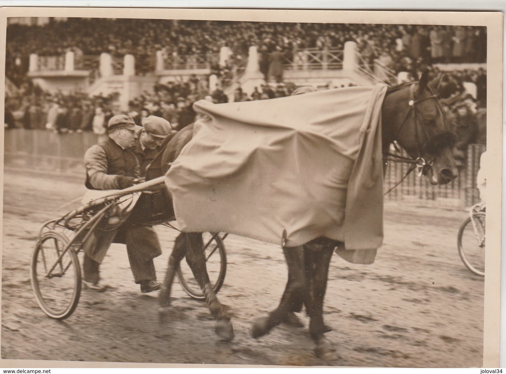 Hippisme Photo New York Times Fin Des Années 30 Cheval Sulky Trot ( Vincennes ? ) Driver Et Propriétaire Après L'arrivée - Ruitersport