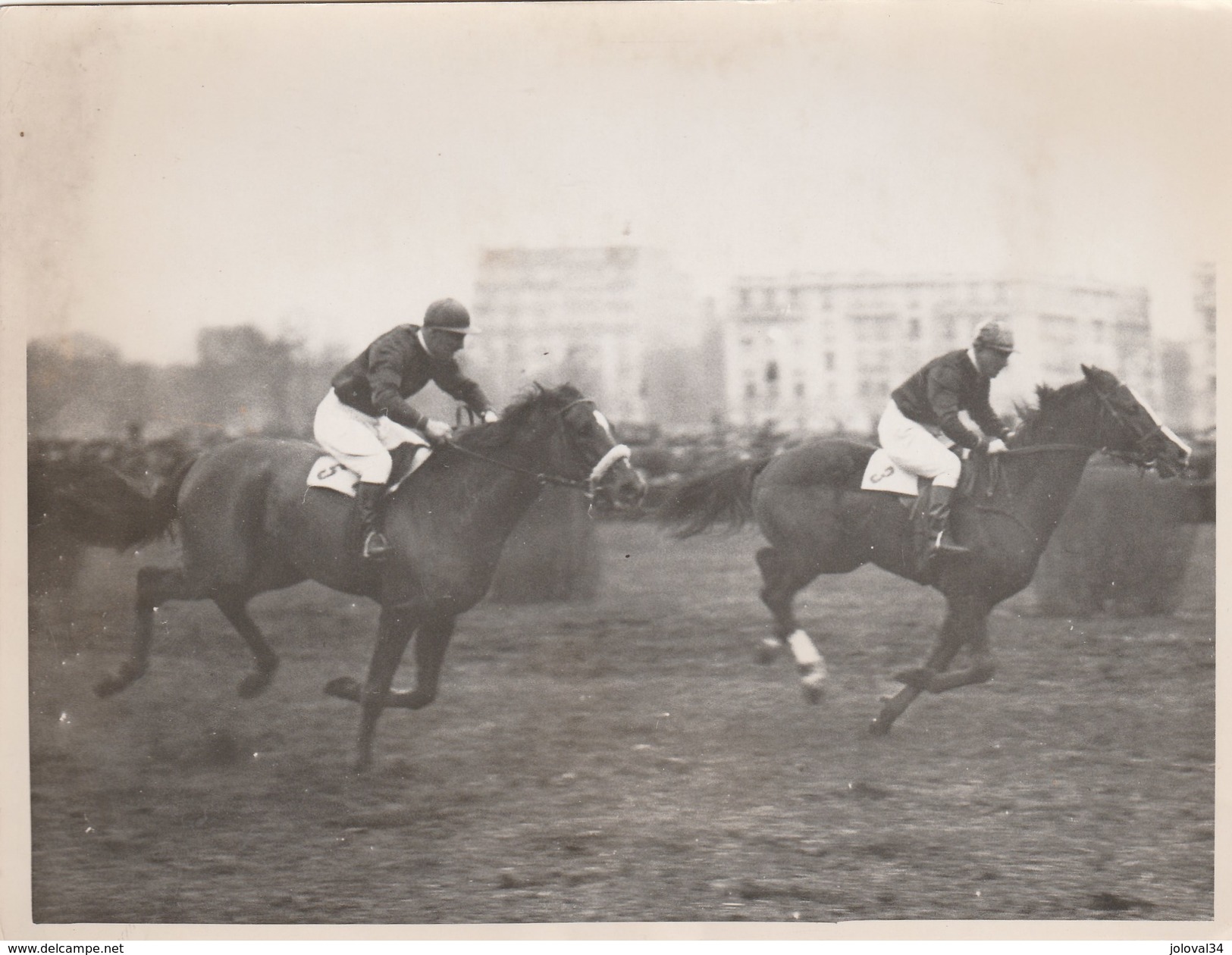 Hippisme Photo New York Times AUTEUIL 16/2/1939 Prix Recruit Cheval ROSETRICO - Ruitersport