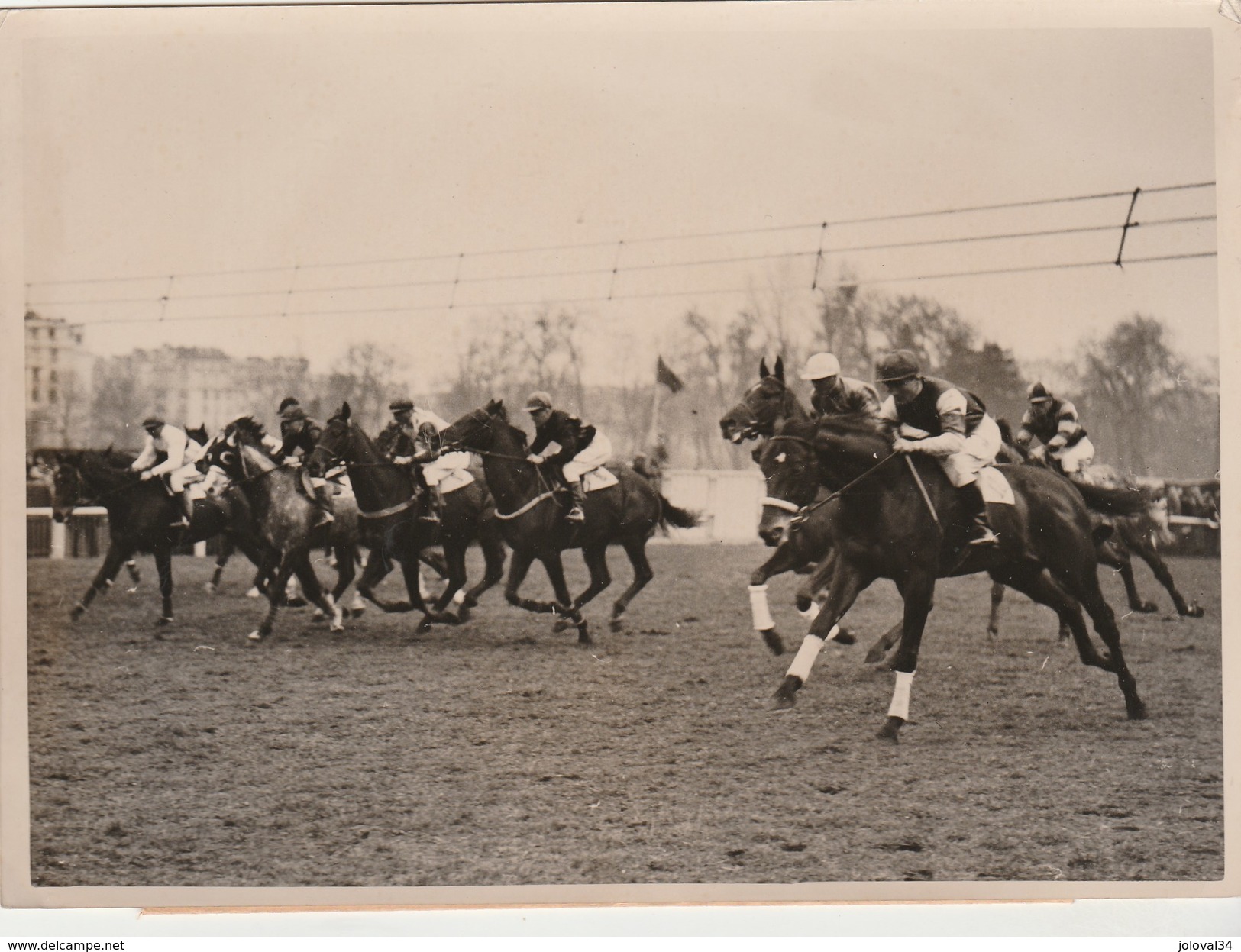 Hippisme Photo New York Times AUTEUIL 26/3/1939 Grand Prix Printemps Cheval NEMOURS Jockey BRUNET Vue De La Course - Reiten