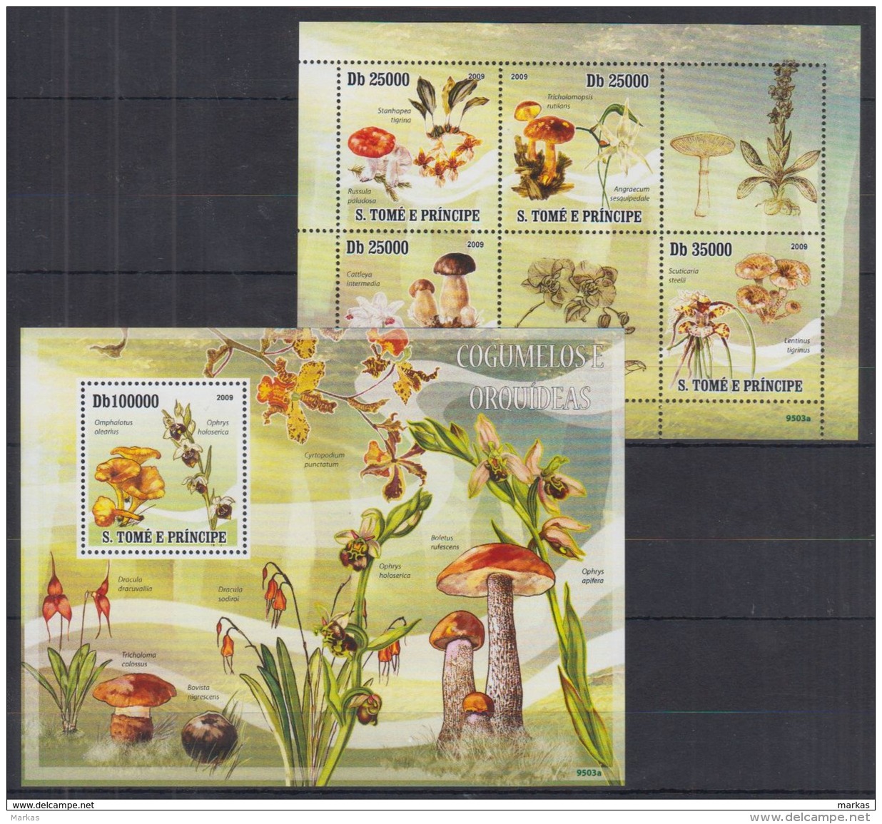 C41. Sao Tome And Principe - MNH - Plants - Flowers - 2011 - Sonstige & Ohne Zuordnung