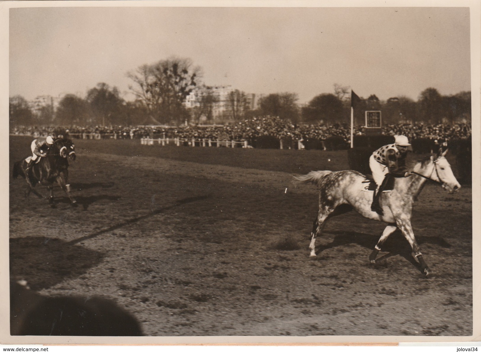 Hippisme Photo New York Times AUTEUIL 9/4/39 Prix Président République Cheval UN GRISARD Vicomte De RIVAUD Jockey BATES - Equitation