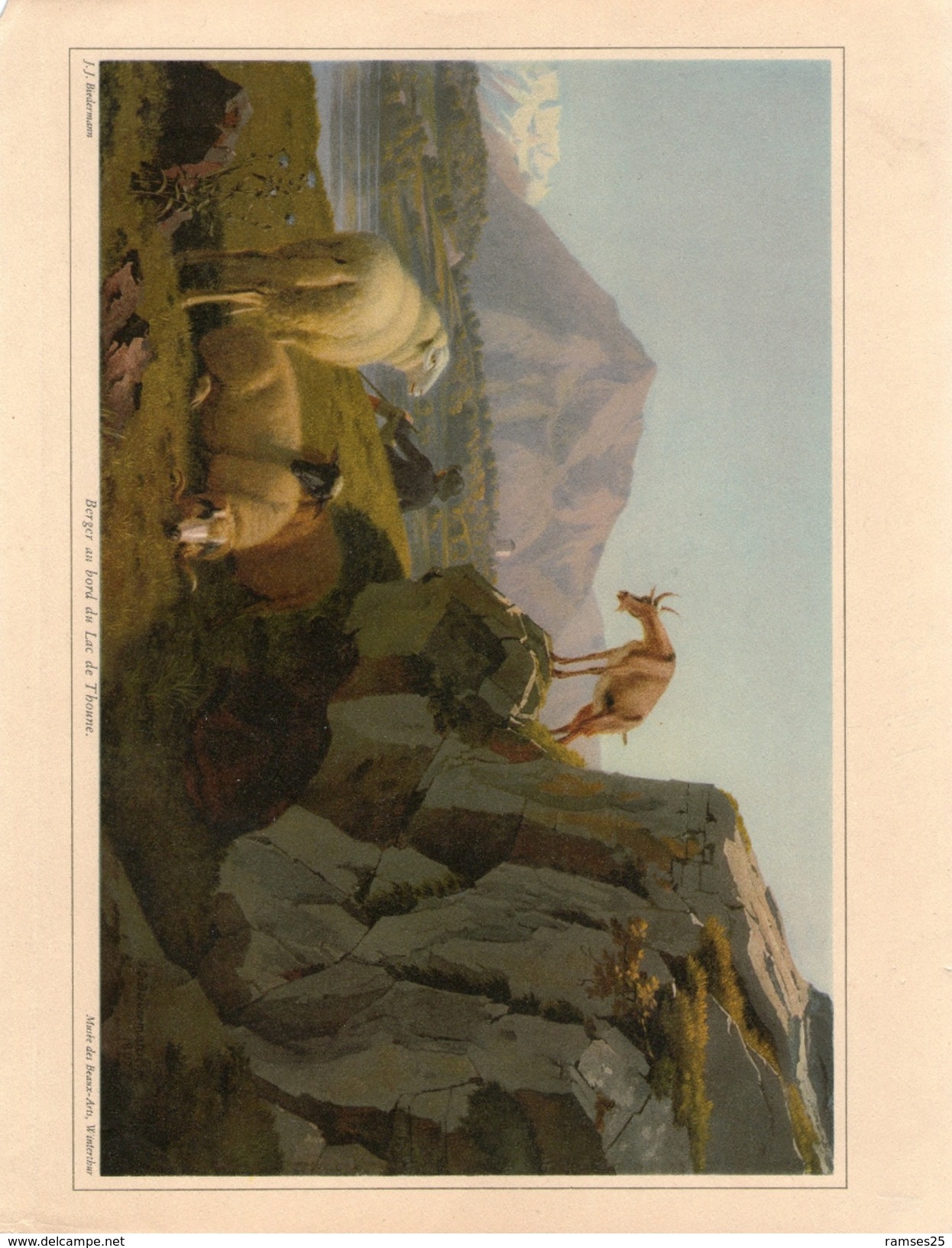 Berger Au Bord Du Lac Thoune Veritable Gravure De 1945 J.J.Biedermann (23cm X 16 Cm) Bon Etat - Thoune / Thun