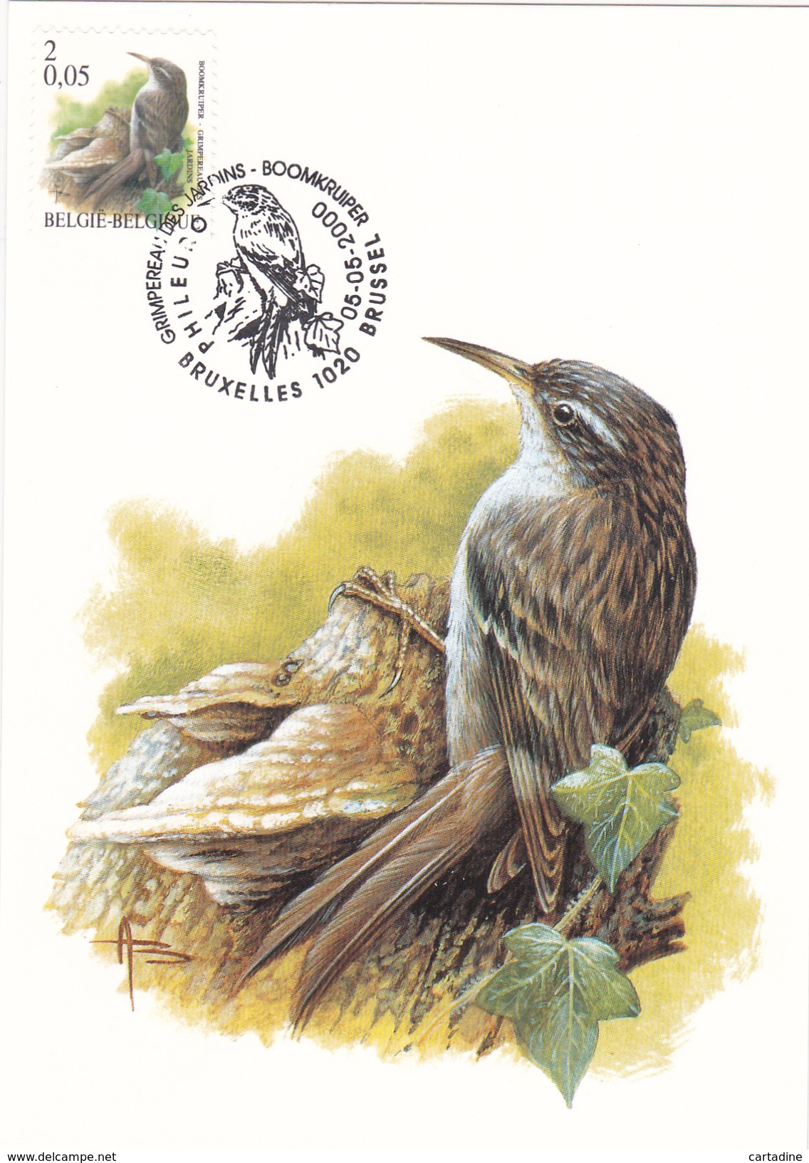 C.M. Buzin - Grimpereau Des Jardins  - FDC - Timbre N° 2919 - 1985-.. Pájaros (Buzin)