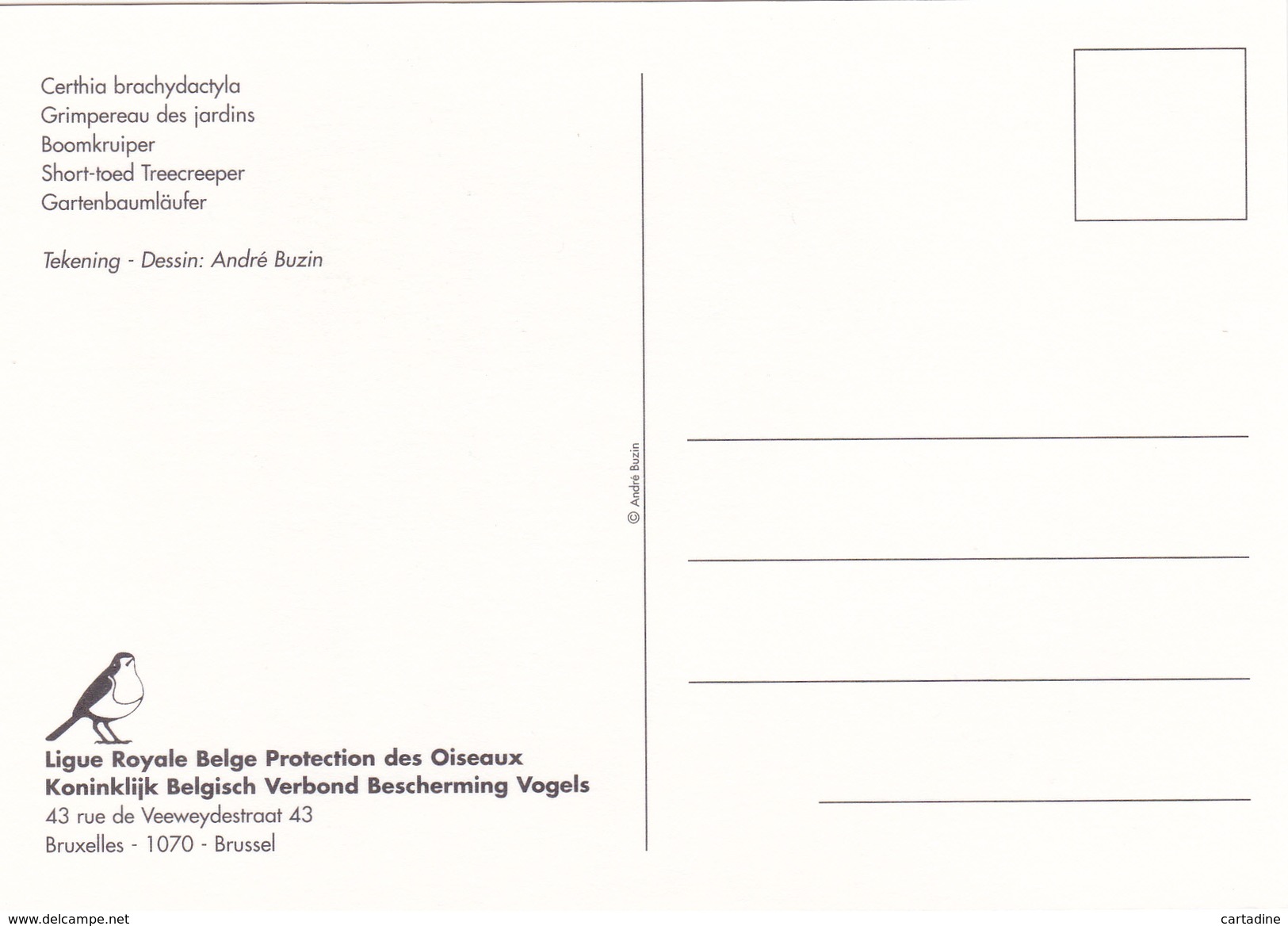 C.M. Buzin - Grimpereau Des Jardins  - FDC - Timbre N° 2919 - 1985-.. Pájaros (Buzin)