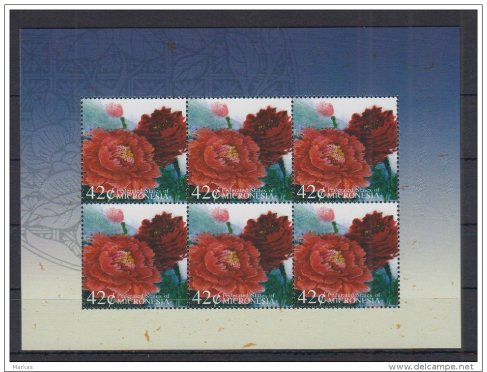 K6. Micronesia - MNH - Plants - Flowers - Sonstige & Ohne Zuordnung