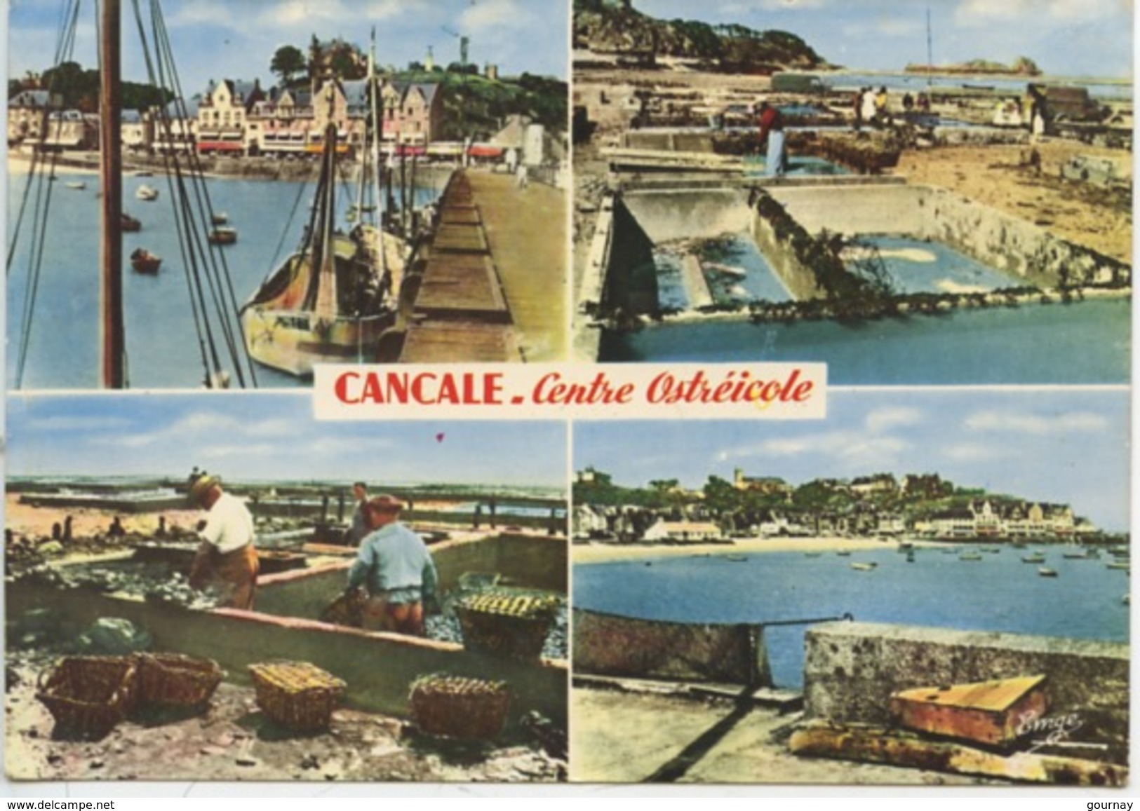 Cancale Centre Ostréicole : Le Port De La Houle Et Les Parcs à Huitres (n°35/1002 Cp Vierge) - Fishing