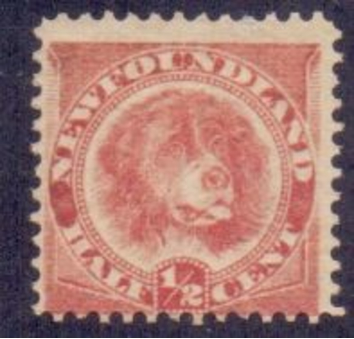 NEWFOUNDLAND 1887 Newfoundland Dog ½c. Rose-red, VF Used - 1865-1902