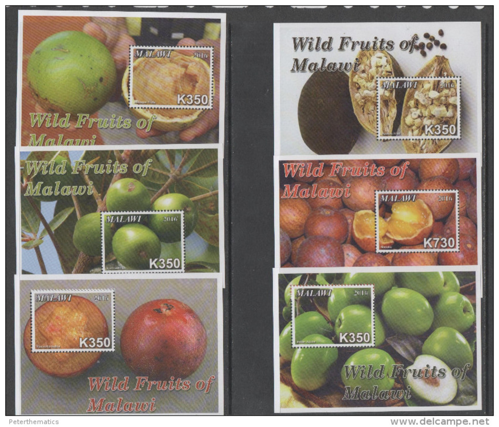 MALAWI , 2016, MNH,WILD FRUITS OF MALAWI, SHEETLET + 6 S/SHEETS, SUPERB OFFICIAL ISSUE, SCARCE - Obst & Früchte